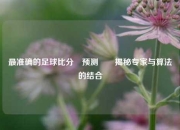 最准确的足球比分⚽预测✌️揭秘专家与算法的结合
