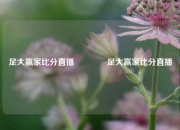足大赢家比分直播🏆足大赢家比分直播