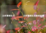 土杯赛程比分🌈土杯赛程比分追踪指南