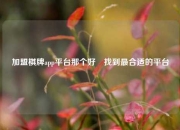 加盟棋牌app平台那个好⚽找到最合适的平台