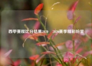 西甲赛程比分结果2020⚾2020赛季精彩纷呈