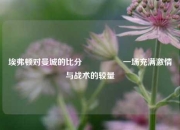 埃弗顿对曼城的比分🎖️一场充满激情与战术的较量