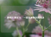 野鸡比赛比分⚽一场充满争议的对决