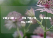 章鱼足球比分✌️章鱼足球比分——探索神秘的海洋世界