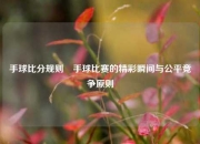 手球比分规则⚽手球比赛的精彩瞬间与公平竞争原则
