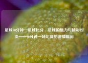 足球90分钟一足球比分⚽足球的魅力与精彩对决——90分钟一场比赛的激情瞬间
