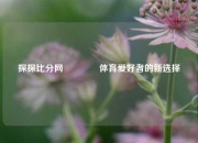 探探比分网🥎体育爱好者的新选择