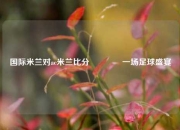 国际米兰对ac米兰比分🏅一场足球盛宴