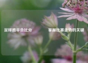 足球胜平负比分👈掌握比赛走势的关键