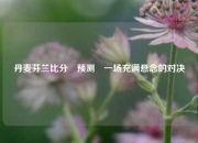 丹麦芬兰比分⚽预测⚽一场充满悬念的对决