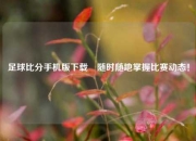 足球比分手机版下载⚽随时随地掌握比赛动态！