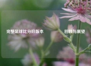完整足球比分旧版本🎖️回顾与展望