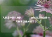 大赢家体育比分网🥇全球顶尖的在线体育赛事数据分析平台