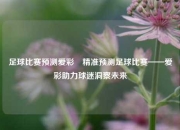 足球比赛预测爱彩⚽精准预测足球比赛——爱彩助力球迷洞察未来