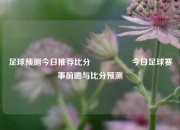 足球预测今日推荐比分⚽🏅今日足球赛事前瞻与比分预测
