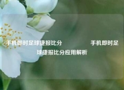 手机即时足球捷报比分🎖️手机即时足球捷报比分应用解析