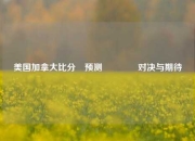 美国加拿大比分⚽预测👉对决与期待