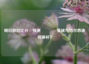 明日欧冠比分⚽预测🥈曼城与切尔西谁将捧杯？