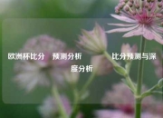 欧洲杯比分⚽预测分析👉比分预测与深度分析