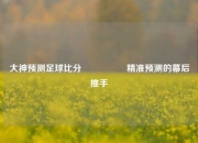 大神预测足球比分⚽🥈精准预测的幕后推手