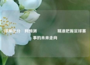 球探比分⚽网预测🎖️精准把握足球赛事的未来走向