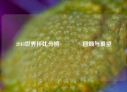 2018世界杯比分榜🏅回顾与展望