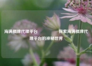 海满棋牌代理平台🎖️探索海满棋牌代理平台的神秘世界