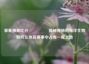 章鱼预测比分⚽🥇揭秘神秘的海洋生物如何在体育赛事中占有一席之地