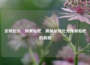 足球比分⚽预测贴吧⚽揭秘足球比分预测贴吧的真相