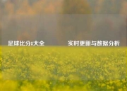 足球比分8大全🥇实时更新与数据分析