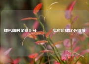 球迅即时足球比分🏀实时足球比分播报