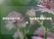 意甲比分好干吗🏐探究意甲联赛的重要性
