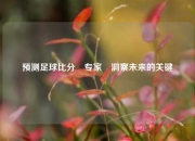 预测足球比分⚽专家⚾洞察未来的关键