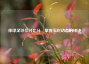 体球足球即时比分⚾掌握实时动态的秘诀