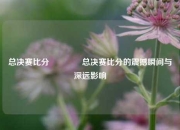 总决赛比分🥈总决赛比分的震撼瞬间与深远影响