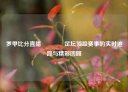 罗甲比分直播🏅足坛顶级赛事的实时追踪与精彩回顾