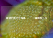 篮球比赛比分预测🏀策略与分析