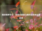 腾游棋牌平台⚾探索中国最火爆的在线娱乐新选择