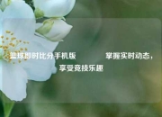 篮球即时比分手机版👈掌握实时动态，享受竞技乐趣