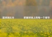 篮球场比分👉把握球场上的每一个细节