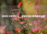 探球比分即时比分⚾掌握足球比赛的最新动态