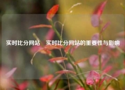 实时比分网站⚾实时比分网站的重要性与影响