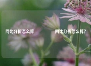 同比分析怎么算🎖️同比分析怎么算？
