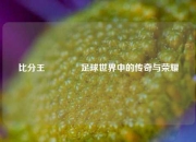 比分王👉足球世界中的传奇与荣耀