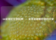 500足球比分竞彩网✌️全球足球爱好者的天堂