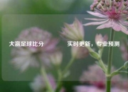 大赢足球比分🥈实时更新，专业预测