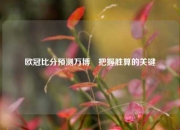 欧冠比分预测万博⚾把握胜算的关键