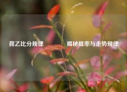 荷乙比分规律🏀揭秘胜率与走势规律