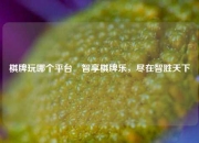 棋牌玩哪个平台⚾智享棋牌乐，尽在智胜天下