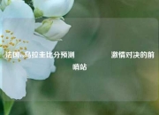 法国vs乌拉圭比分预测🎖️激情对决的前哨站